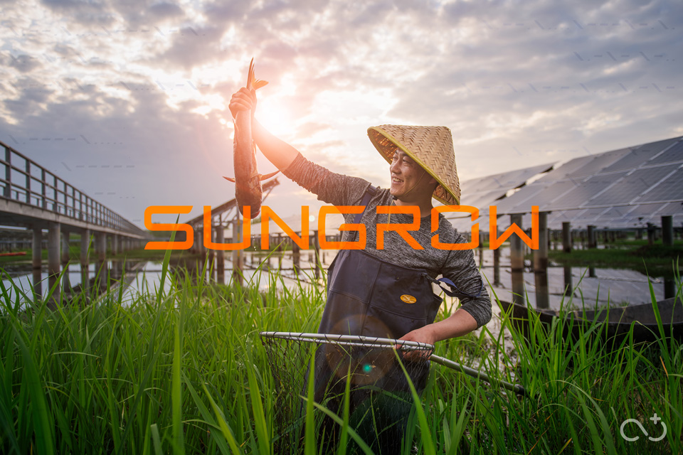 阳光电源 SunGrow
